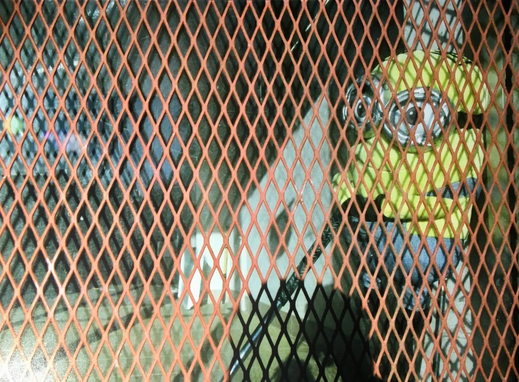 Photo by Mike Higdon