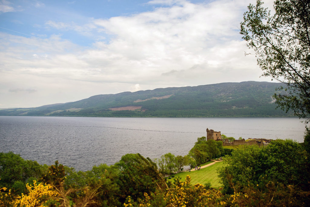 Photo by Mike Higdon