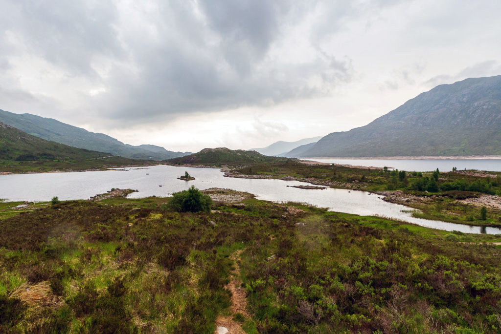 Photo by Mike Higdon