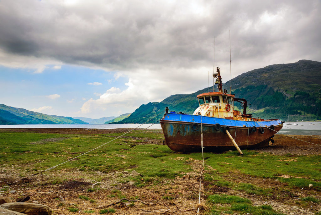 Photo by Mike Higdon