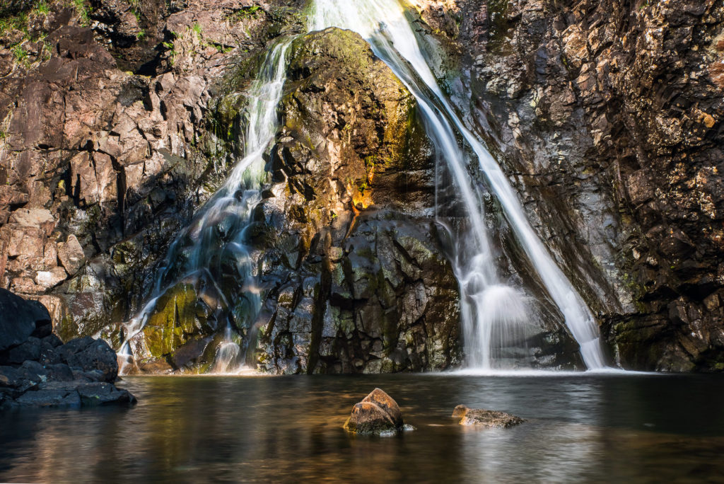 Photo by Mike Higdon