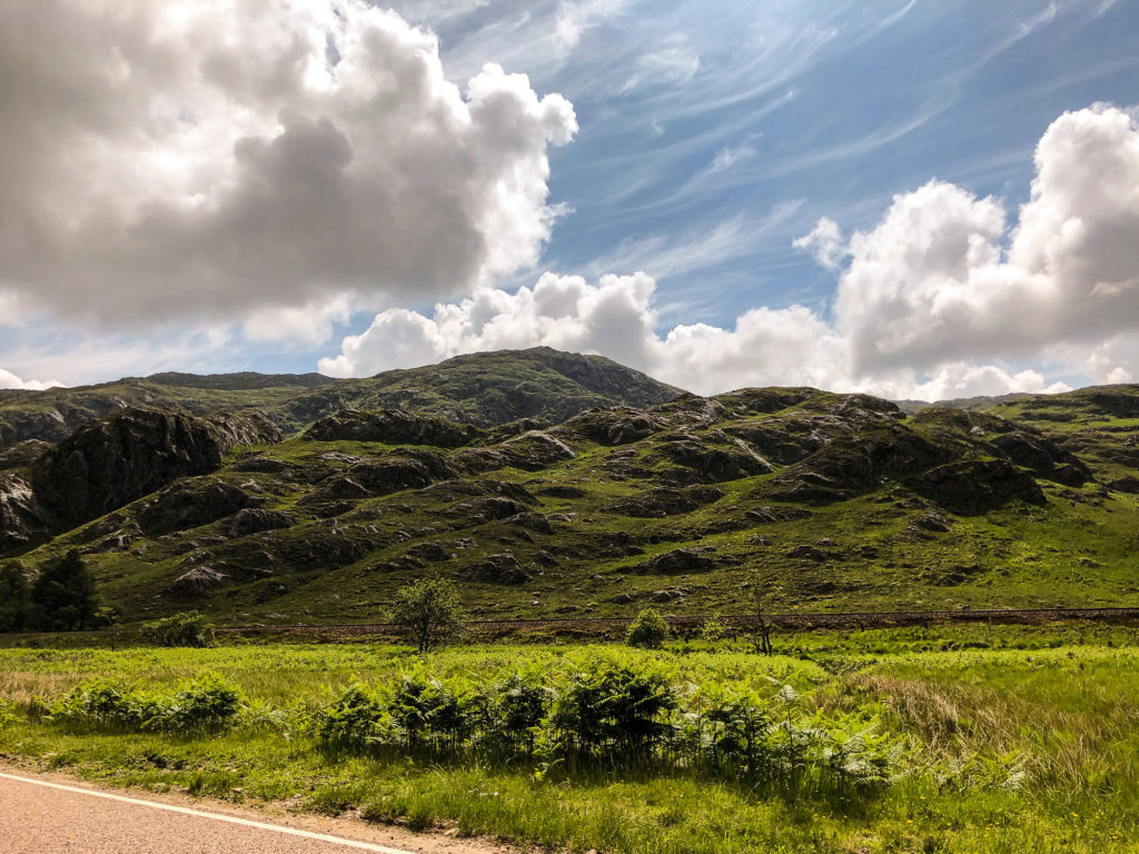 Photo by Mike Higdon