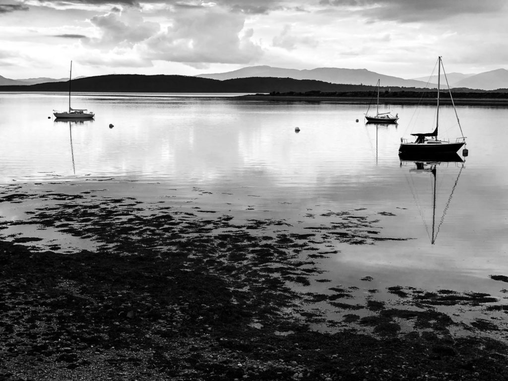 Photo by Mike Higdon