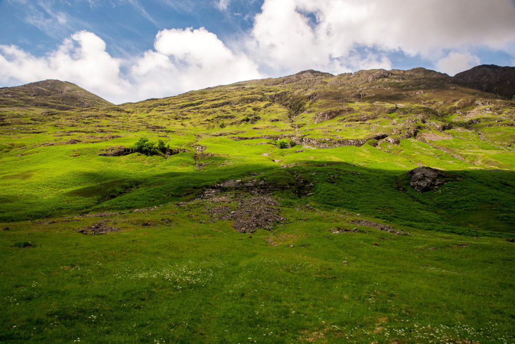 Photo by Mike Higdon