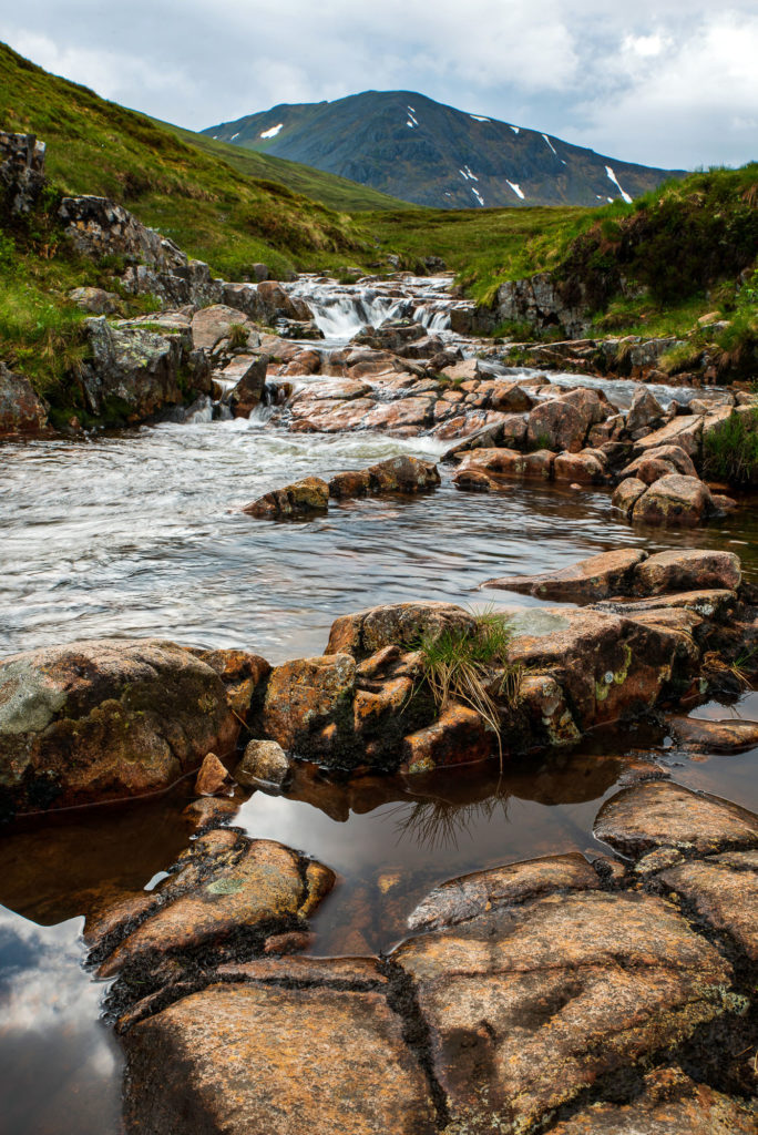 Photo by Mike Higdon