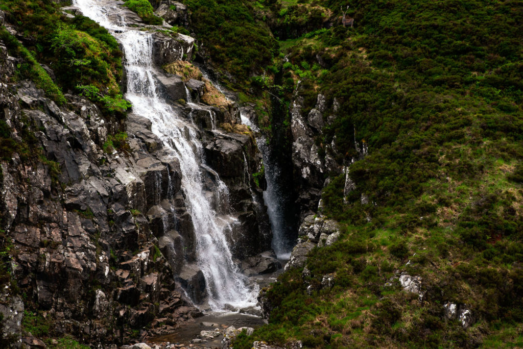 Photo by Mike Higdon